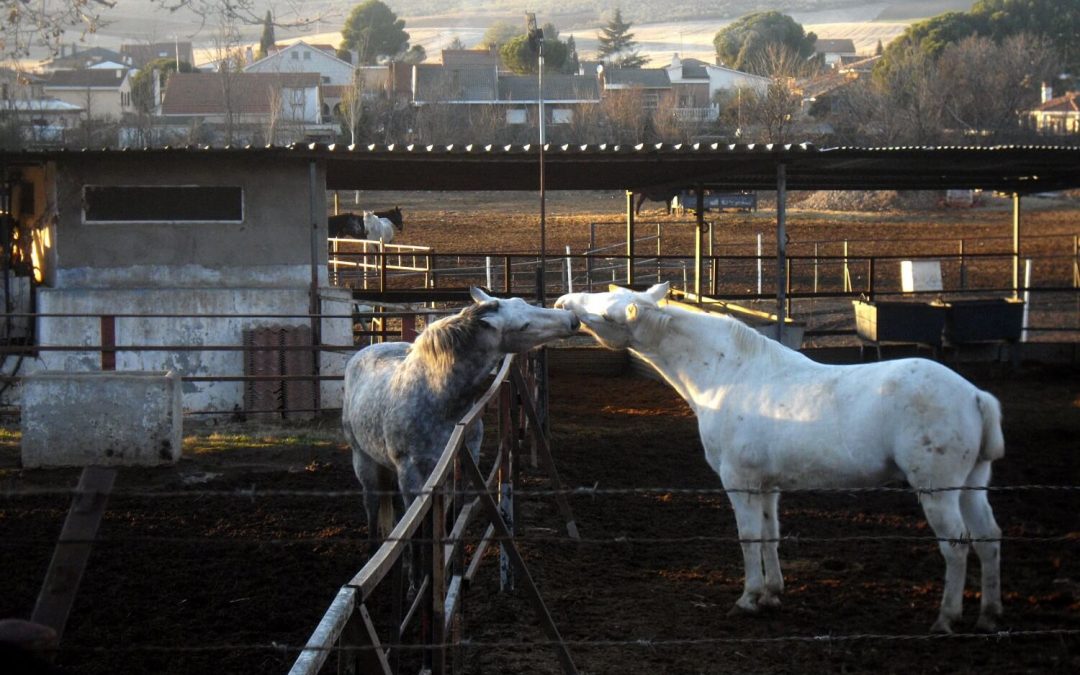 No hay mayor satisfacción